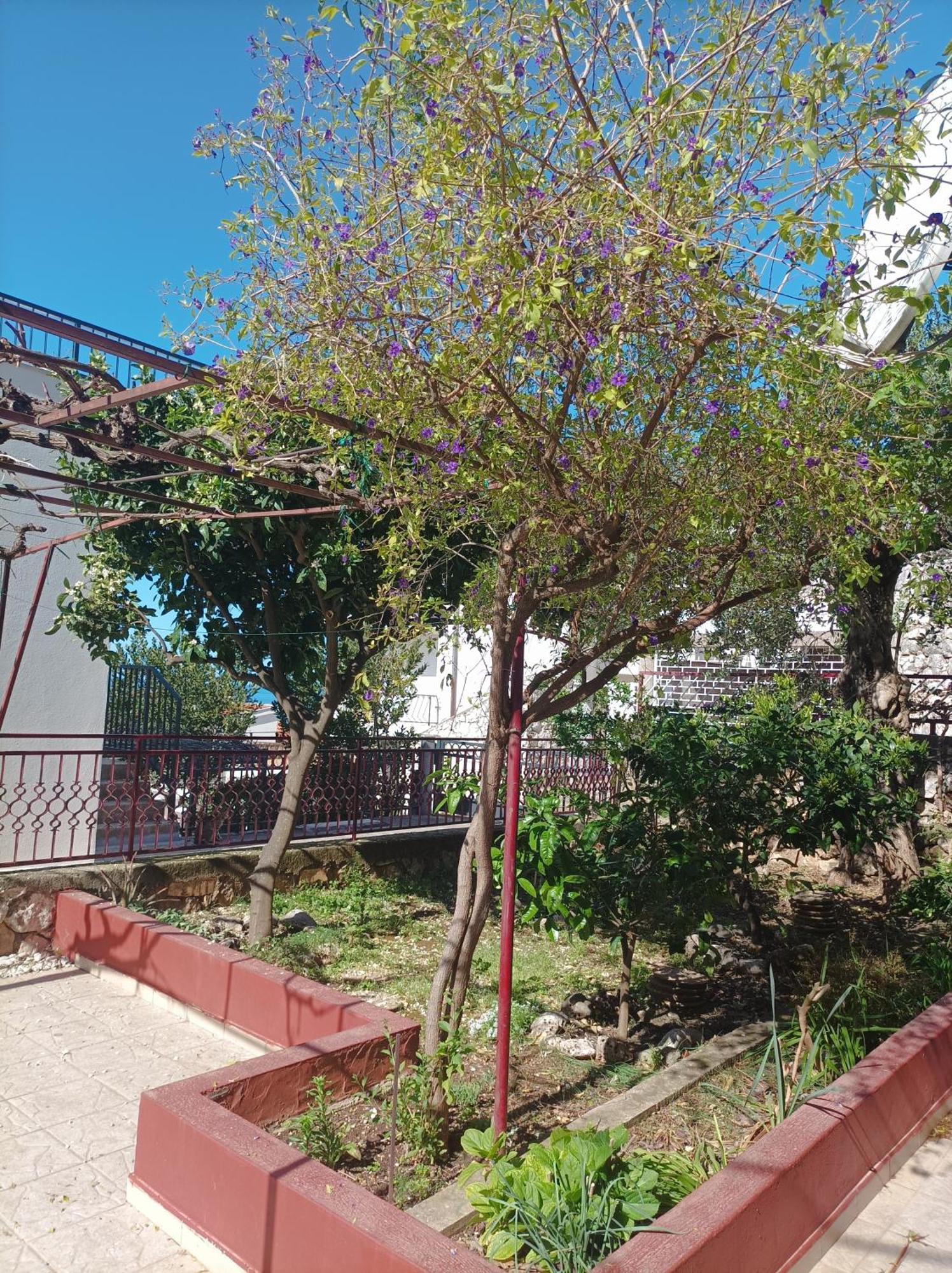 Dva Lava Apartment Podaca Exterior photo